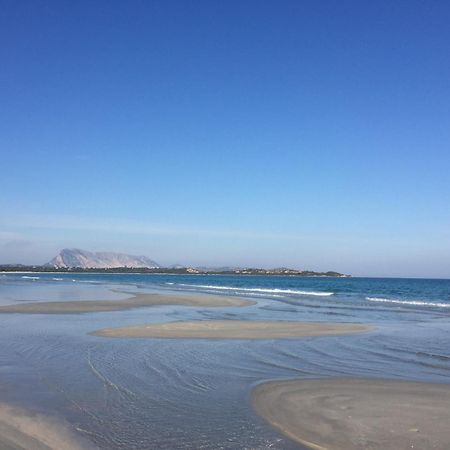 Hotel Al Faro Spiaggia La Cinta Santeodoro San Teodoro  Extérieur photo