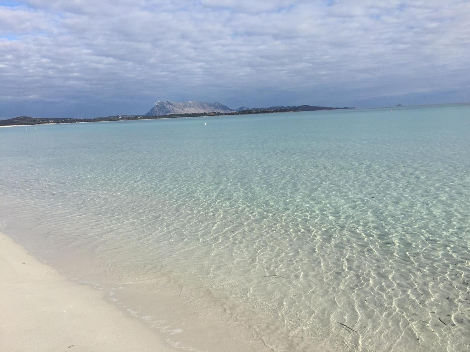 Hotel Al Faro Spiaggia La Cinta Santeodoro San Teodoro  Extérieur photo